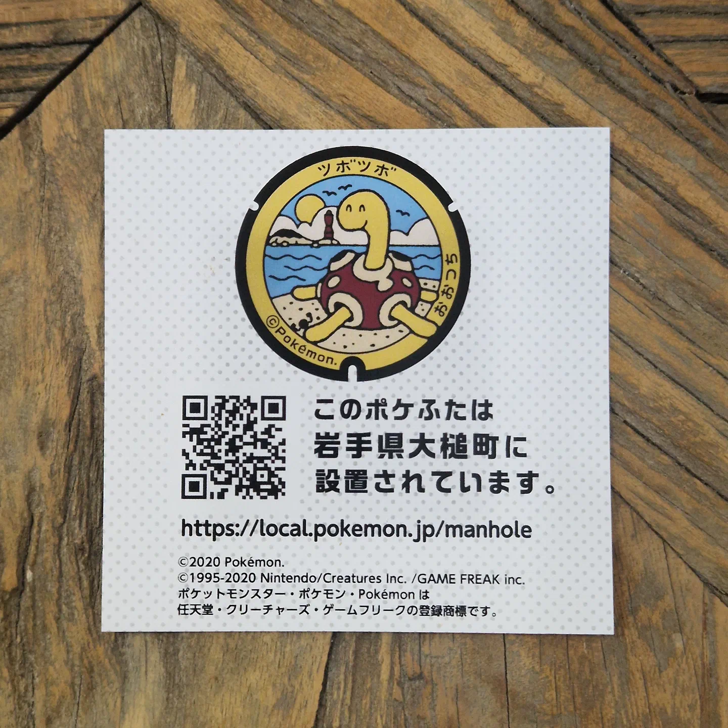 Shuckle Poké Lid pin — photo 3