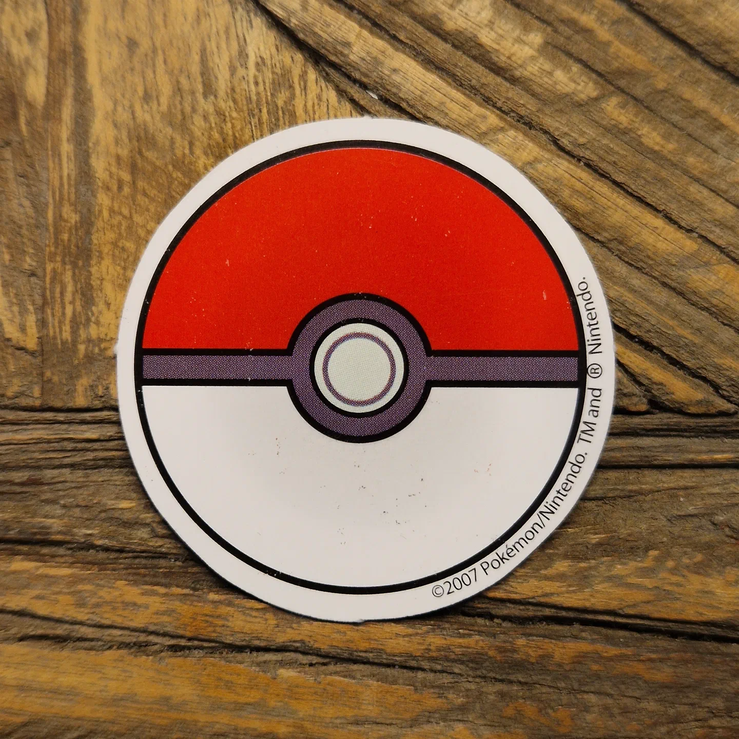 Pokemon Champion Island 2007 — photo 2